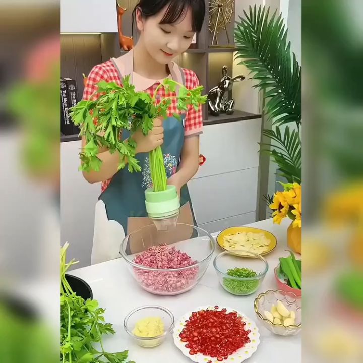 Mini Food Chopper Hand Chopper Manual Rope Food Processor Onion Ginger ...