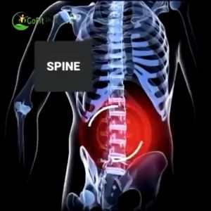 【COD】10pcs Plant Herbal Upgrade Version Moxa Patch Spontaneous Heat Knee Moxibustion Cervical Hot Compress Joint Special For Relieving Muscle Pain Ointment Vein Muscle Rheumatoid Inflammation Pain Relief Patch