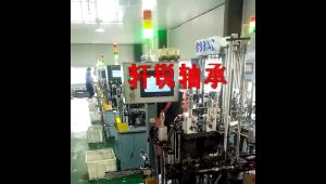 ลูกปืน ตลับลูกปืนเม็ดกลมร่องลึก: 6000 / 6001 / 6201 / 6300 / 6202 / 6301 / 6203 / 6204 (ถูกที่สุด)