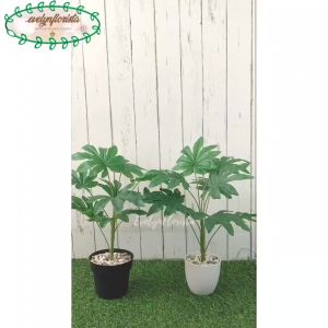 Dekorasi Meja Ruangan dengan Pohon Hias Artificial Aralia Pot Dasar Hitam & Melamine Putih