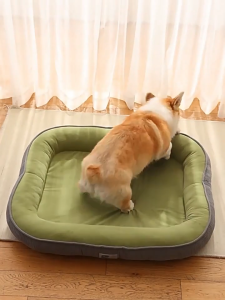 Teeker Pet Bed for Cats Dog Sofa with Foam Four Sided Bolster Thickened and Heightened Kitten Puppy Couch Beds with Removable Cover & Non-Slip Bottom