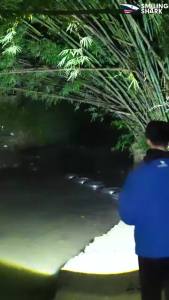 SMILING SHARK | Đèn Pin Cắm Trại Có Thể Sạc Lại SMILING SHARK LED Đèn Pin Zoom 6 Chế Độ Với Đèn Bên COB Đèn Cảnh Báo Màu Đỏ/xanh Lam Chống Nước Cho Các Hoạt Động Ngoài Trời