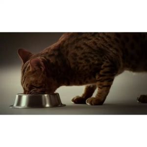 Instinct® Original Kitten Grain-Free Recipe with Real Chicken Dry Cat Food