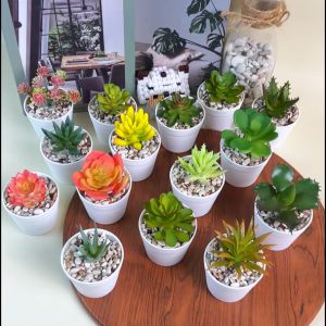 Pot Bunga Kaktus Sukulen Latex Mini Tanaman Hias Artificial Ornamen Dekorasi Rumah Import COD PBP204