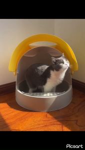 Nhà vệ sinh/ chậu cát/ hộp vệ sinh ngăn mùi chống văng cát tuyệt đối cho mèo kèm xẻng - 4pets official