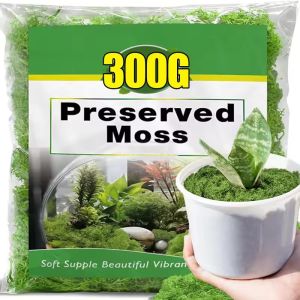 300/30G Artificial Green Plants Eternal Life Moss Mini Landscape Fake Grass DIY Crafts Grass Garden Home Room Potting Decoration