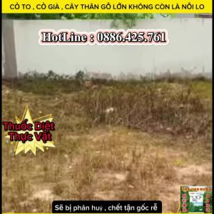 Thuốc Diệt Cây Lớn Gói 500g - Hỗ Trợ Diệt Cây To Khai Hoang Diệt Bụi Tre Già - Hàng Chất Lượng