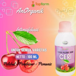 Pupuk Buah Biar Cepat Berbuah / Pupuk Pohon Ceri / Pupuk Buah Ceri / Pupuk Buah Ceri Lebat / Pupuk Pembesar Buah Ceri / Pupuk Pelebat Buah