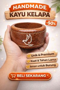 gerabah mangkuk merpati kayu kelapa tempat makan burung merpati
