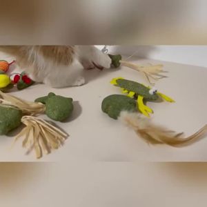Catnip Cats Grass Chew Toy To Remove Hair Ball Molar Rod Mouse Chicken Feather Edible Cat Toy Tooth Cleaning Pet Cat Accessories