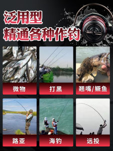 Cơ Cấu Dây Kéo Toàn Bộ Bằng Kim Loại Golden Spider Spinning Wheel Far Casting Sea Fishing Pole Tốc Độ Quay Cao 5.2:1