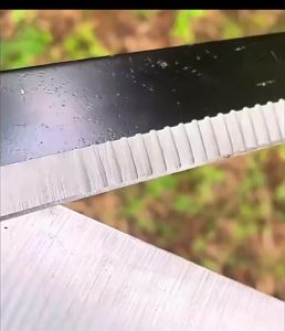 Kéo cắt tỉa hàng ràocây cảnhkéo cắt tỉa cành câykéo cắt cỏ sân vườnkéo làm vườnkéo tỉa câykéo cắt cànhkìm cắt dâykéo tỉa dămkéo cắt đa năngkéo mũi nhọnkéo cắt thanh longdụng cụ tỉa cànhkéo cắt tỉa cànhKéo cắt tỉa câykéo cắt cành câykéo cắt