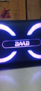 BAAB B207-04 Wireless Speaker RGB LED Lights USB SD Card Radio FM Bluetooth AUX In Mic In