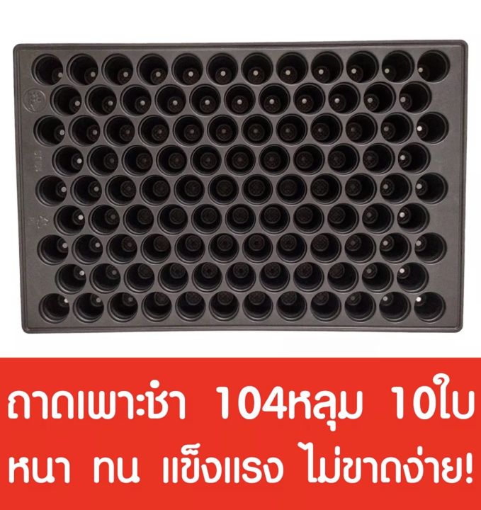 6 อันดับ ถาดเพาะกล้า ยี่ห้อไหนดี? อัปเดตปี 2025 สำหรับมือใหม่และมือโปร