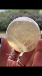 💛 天然黄萤石球|Natural Yellow Fluorite Sphere🌿 天然海带纹・Natural Seaweed Inclusions
