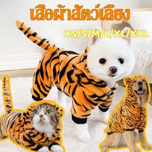 【GUGU-W】เสื้อผ้าสัตว์เลี้ยง ชุดแมว เสื้อฮู้ดดี้ ลายเสือ เสื้อกันหนาว แฟชั่นฤดูใบไม้ร่วง สุนัข แมว