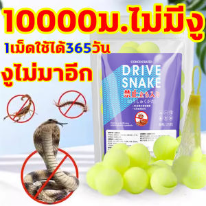 10000ม. ผงไล่งู 10เม็ด/ถุง กำมะถันผง ผงกำมะถันไล่งู ไล่งู กันลม กันฝน ไล่สัตว์เลื้อยคลาน 1เม็ด/วัน ไม่มีสารเคมี ปลอดภัย