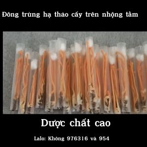 Đông trùng hạ thảo khô nguyên con nhộng tằm Nocovy sấy  thăng hoa  loại Vip cam kết không vỡ nhộng hỗ tr.ợ t.ăng c.ường si.nh l.ý phòng co-vid ngừa c.úm Hỗ Trợ Tăng Cường Sinh Lý - Lazada