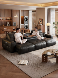 LFF | Electric Adjustable Leather Sofa Bed