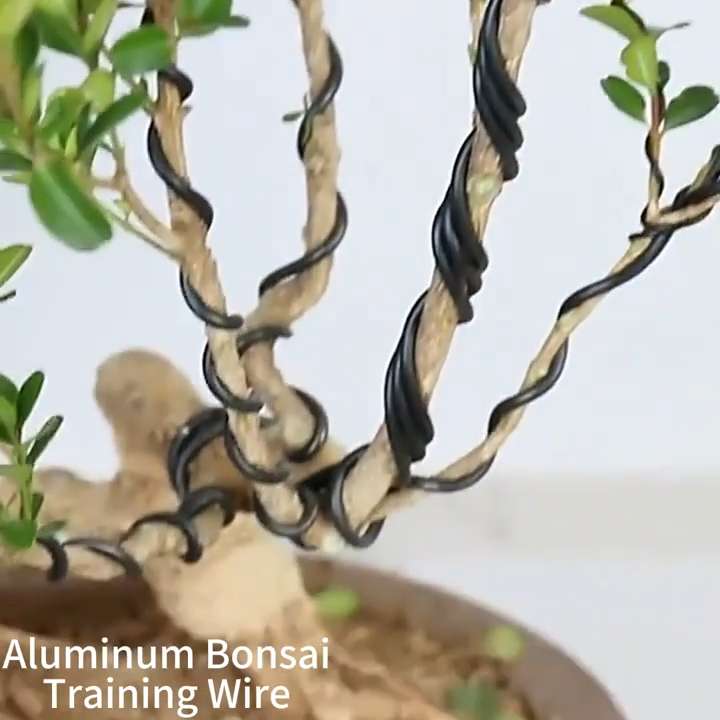 3m/5m/10m Black Bonsai Aluminum Wire Shape Fixing Rope Plant Support ...
