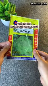 Benih Bibit Brokoli F1 Lucky Bejo 1250 biji Primasid