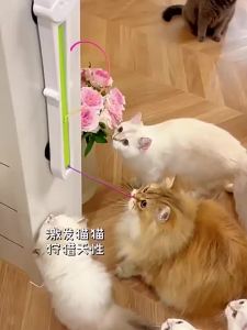 SHENJINGMAO | Automatic Boredom Relief Cat Toy
