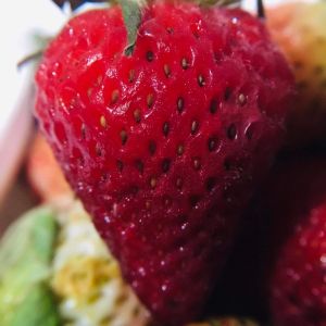 binhi pantanim 5-10 seeds strawberry outdoor fruit plant