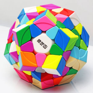 QY TOYS | Magnetic 12-sided Megaminx 3x3 Puzzle Brain Toy