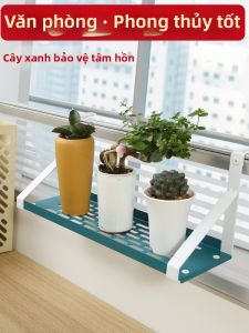 LUNBANG | Tổ Chức Góc Bàn Kệ Hoa