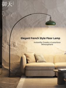 Elegant Decorative Eye-Protecting Ambient Floor Lamp