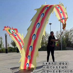 Square Fitness Dragon Dragon Ribbon Spinning Dragon Dance Ribbon Colorful Dragon Color Stripes Beginner Adult Middle-Aged and Elderly Phoenix Dance Faucet Shaking Dragon