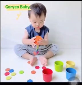 Kids Montessori Color Classification Cup