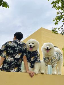 Hawaii Vacation Style Parent-Child Matching Dog Clothes Summer Casual Shirt for Medium to Large Dogs like Samoyed And Golden Retriever