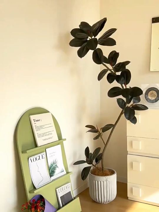 ต้นยางคิงคองจำลองขนาดใหญ่สีดำ สำหรับห้องนั่งเล่น