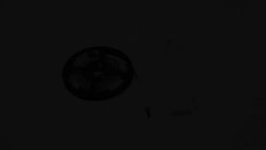 Wireless PIR Motion Sensor LED Strip Light for Cabinet Under Bed Stairs Closet - Battery Powered Night Security Smart Lamp