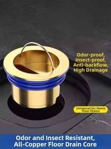GUOQI | High Efficiency Drainage Copper Core Floor Drain Anti-Odor and Pest Prevention
