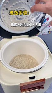 SG【ReadyStock】Zemkon Electric Rice Cooker CordStorage CoolTouch SimpleControl GiftPack FoodSafe SpaceSaving