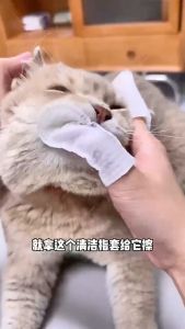 Dog Wipes 50PCS Pet Finger Wipes Cat Dog Eye Ear Cleaner Care Pet Teeth Care Dental Care Grooming Pet Wet Wipes 宠物湿巾