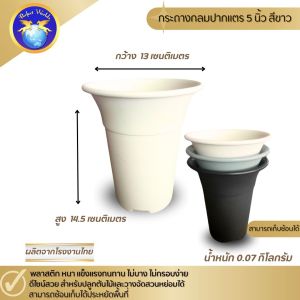 เซตสุดคุ้ม‼️กระถางเหลี่ยมปากแตรและกลมปากแตร(perfectworlds)