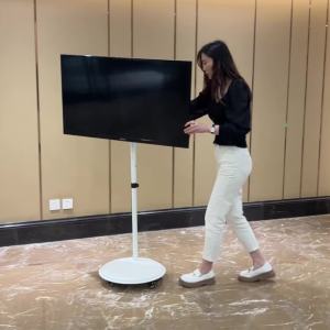 Portable PC Monitor Stand PC Monitor Stand Laptop Stand Rack Monitor Floor Mobile Cart Computer Screen Display Bracket Display Screen Can Be Lifting Bracket