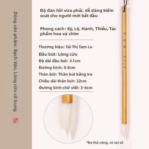 ZHAISHISANLU | Bộ Dụng Cụ Luyện Viết Thư Pháp Cho Người Mới Bắt Đầu và Chuyên Nghiệp