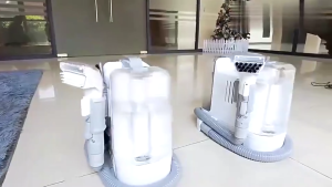 ENOLUX K18 Wet and Dry Vacuum Cleaner Spot Cleaner for Fabric Sofa Carpet Mattress with Strong Suction Dual Tank Brushes Lightweight Design