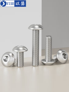 Yi Se Dian Zi | 304 Stainless Steel Hex Socket Head Cap Screws