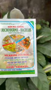 Chế phẩm vi sinh - phân bón TRICHODERMA Bacillus chitosan + 20 tỷ bào tử - Hoàng Nga - gói 100gr