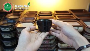 Pot Bonsai Keramik Mini Kaktus Sukulen
