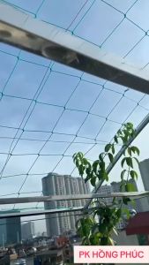 Lưới giàn leo lưới làm giàn mướp bầu bí cây dây leo MÀU XANH TRẮNG tặng kèm dây buộc (nhiều kích thước)