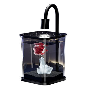 HUICHONG | Desktop Aesthetic Fish Tank for Home & Office