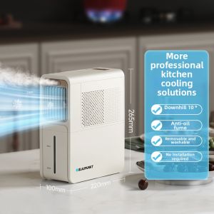 Blaupunkt | Cooling Ice Mist Fan For Kitchen