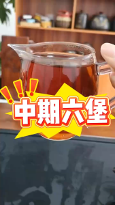 Tea/Liu Bao Tea【槟榔香2016年特级茶】春茶系列 广西梧州六堡茶 10kg/萝