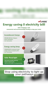 NSS Solar Flood Light Waterproof Outdoor 10w/30w/50W/60w/100w Light Solar Street Lamp Solar Panel